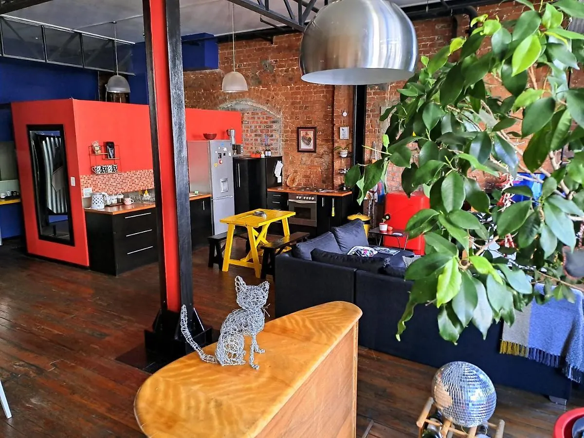 Pet-Friendly City Loft Apartment Cape Town