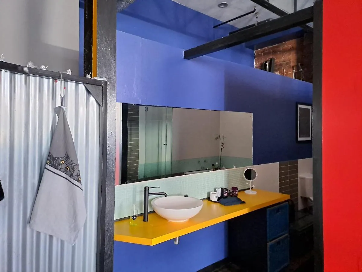 Pet-Friendly City Loft Apartment Cape Town