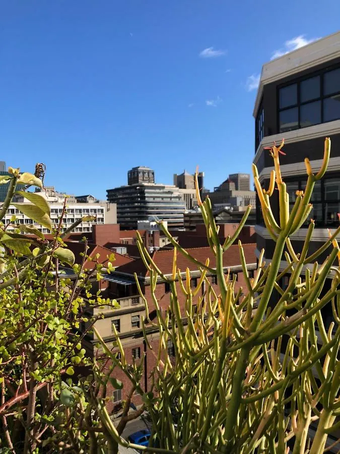Pet-Friendly City Loft Apartment Cape Town