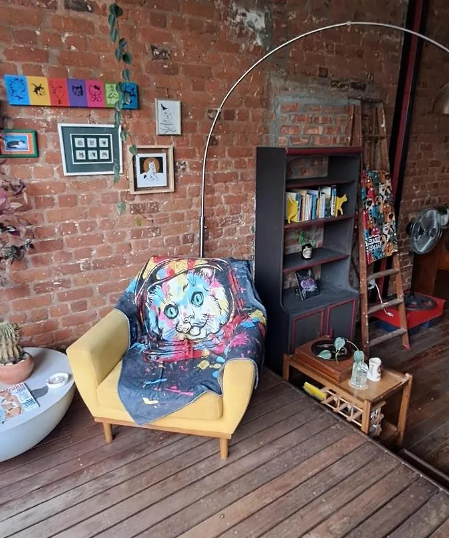 Pet-Friendly City Loft Apartment Cape Town South Africa